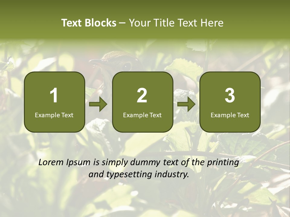Wood Thrush (Hylocichla Mustelina) In Leaves, Central Park, Ny PowerPoint Template