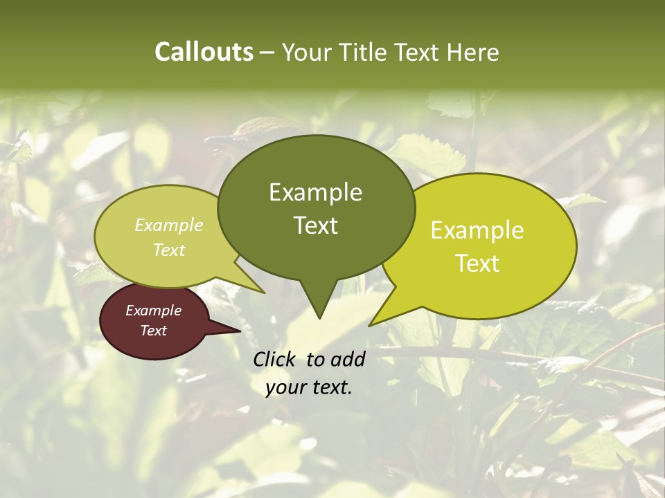 Wood Thrush (Hylocichla Mustelina) In Leaves, Central Park, Ny PowerPoint Template