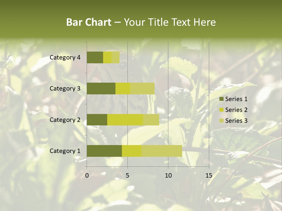 Wood Thrush (Hylocichla Mustelina) In Leaves, Central Park, Ny PowerPoint Template
