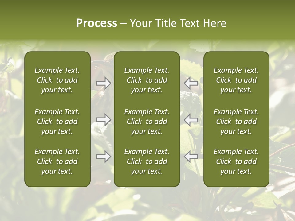 Wood Thrush (Hylocichla Mustelina) In Leaves, Central Park, Ny PowerPoint Template