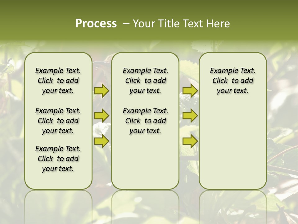 Wood Thrush (Hylocichla Mustelina) In Leaves, Central Park, Ny PowerPoint Template