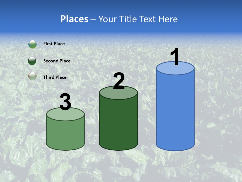 Black And White Portrait Of Cute Girl PowerPoint Template