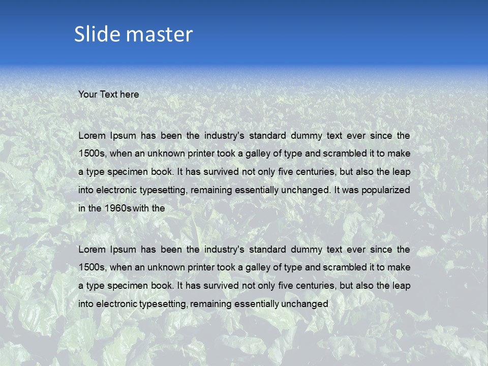 Black And White Portrait Of Cute Girl PowerPoint Template