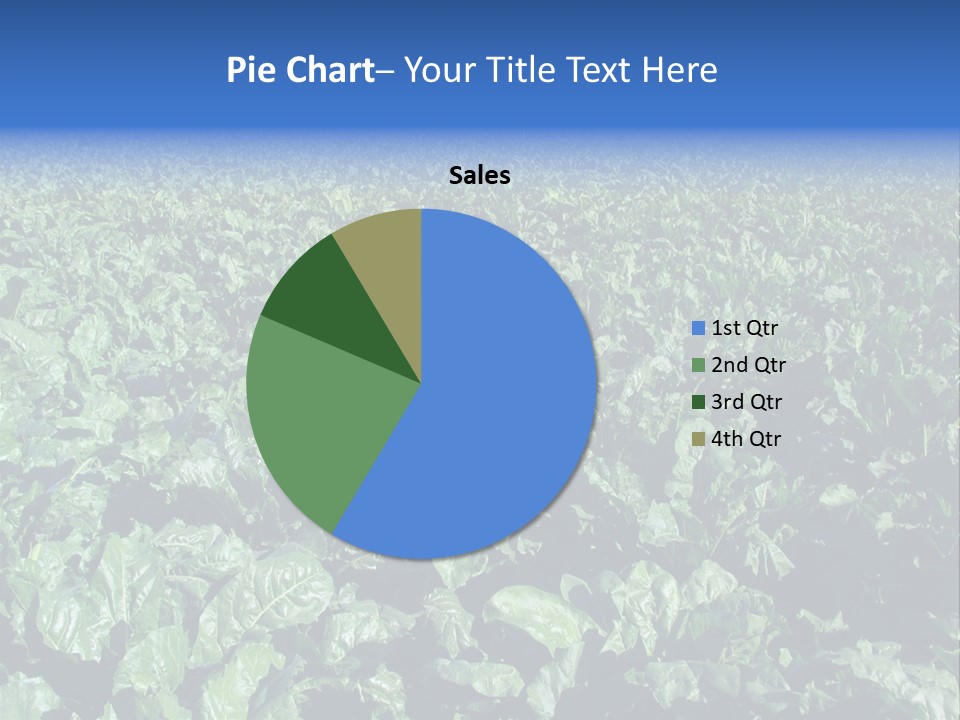 Black And White Portrait Of Cute Girl PowerPoint Template