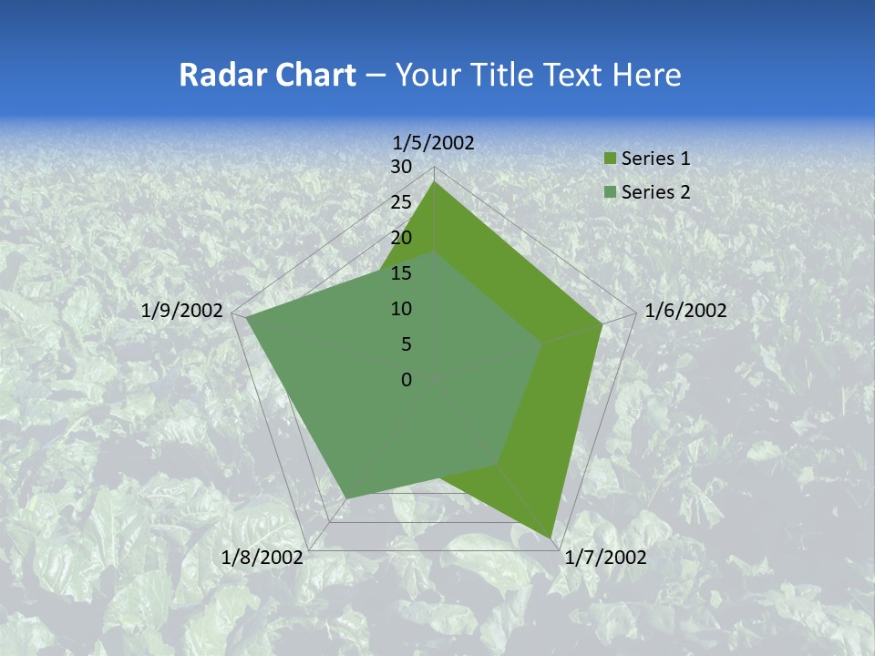 Black And White Portrait Of Cute Girl PowerPoint Template