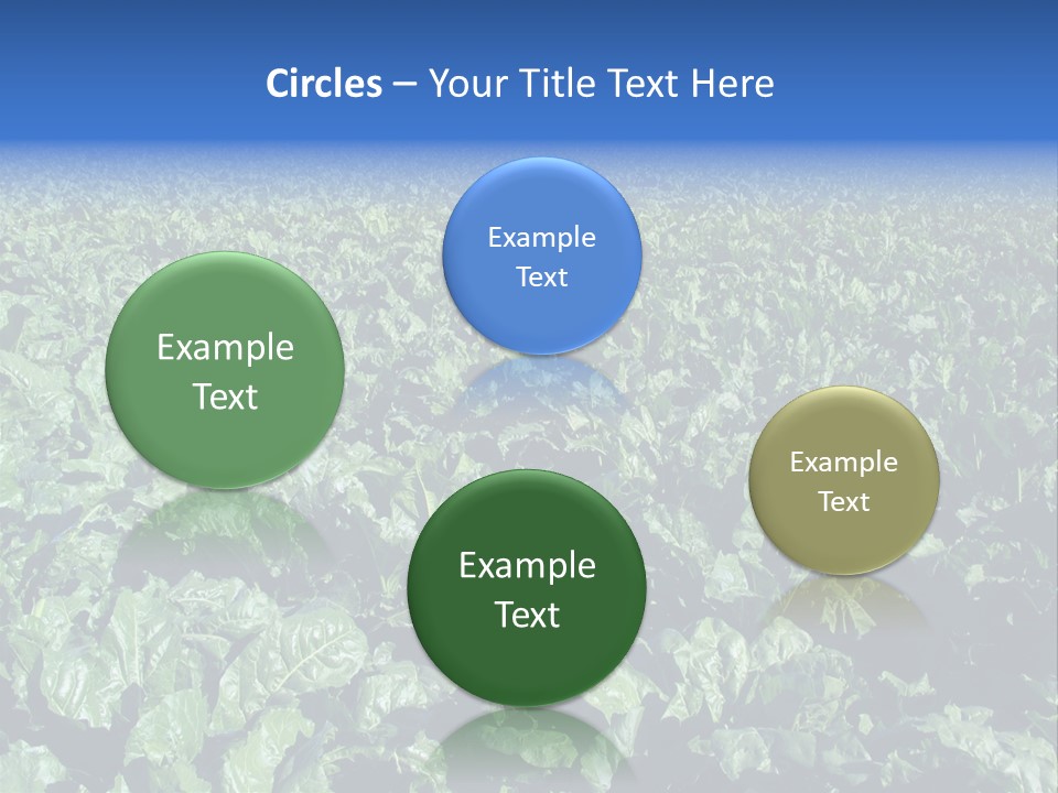 Black And White Portrait Of Cute Girl PowerPoint Template