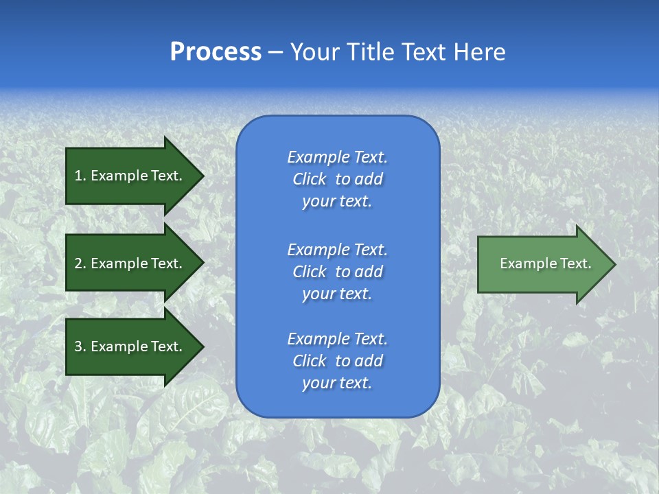 Black And White Portrait Of Cute Girl PowerPoint Template