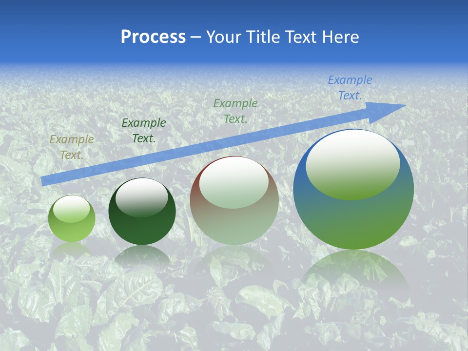 Black And White Portrait Of Cute Girl PowerPoint Template