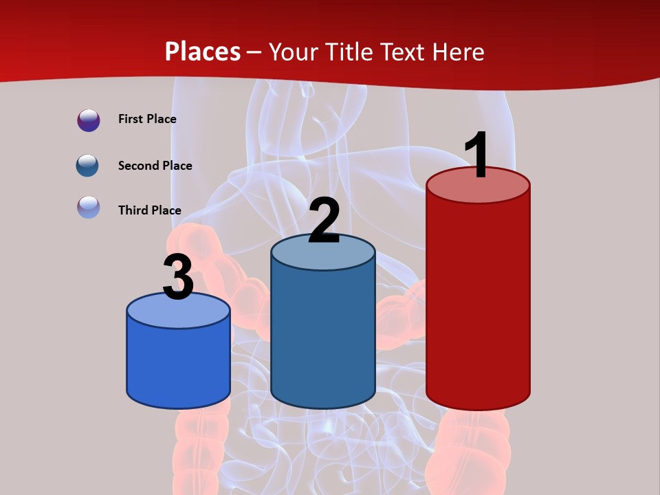 Highlighted Colon PowerPoint Template