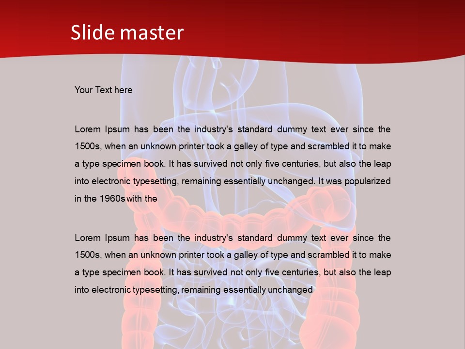 Highlighted Colon PowerPoint Template