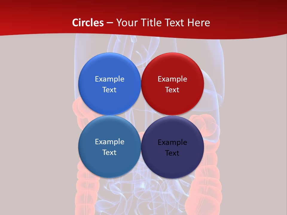 Highlighted Colon PowerPoint Template