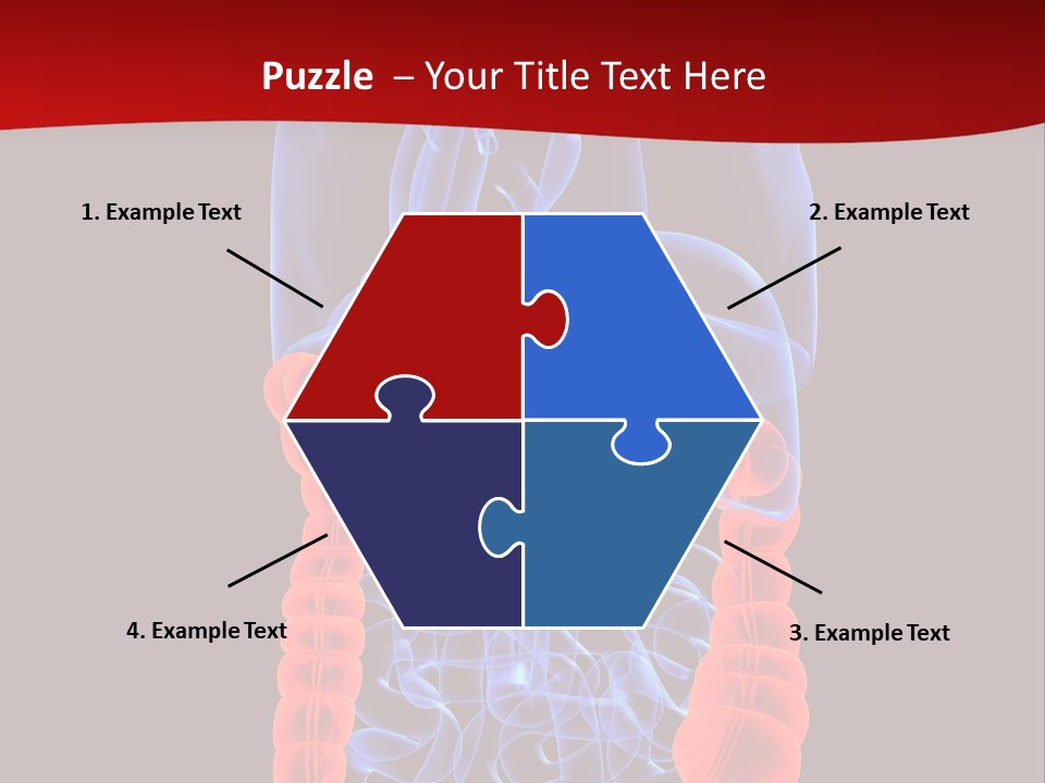 Highlighted Colon PowerPoint Template
