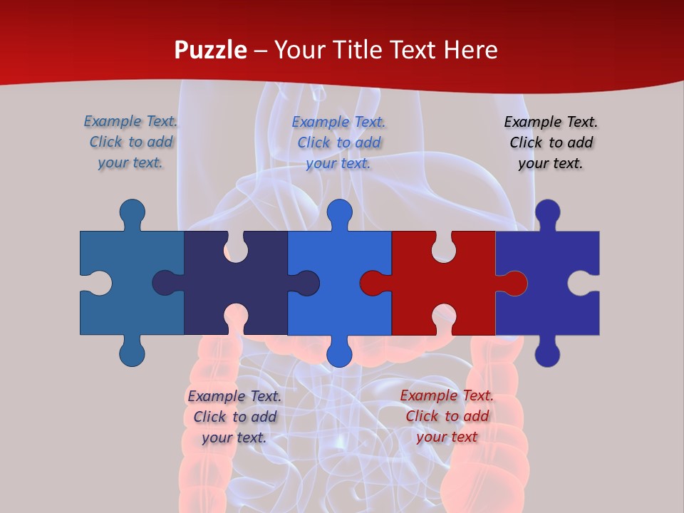 Highlighted Colon PowerPoint Template
