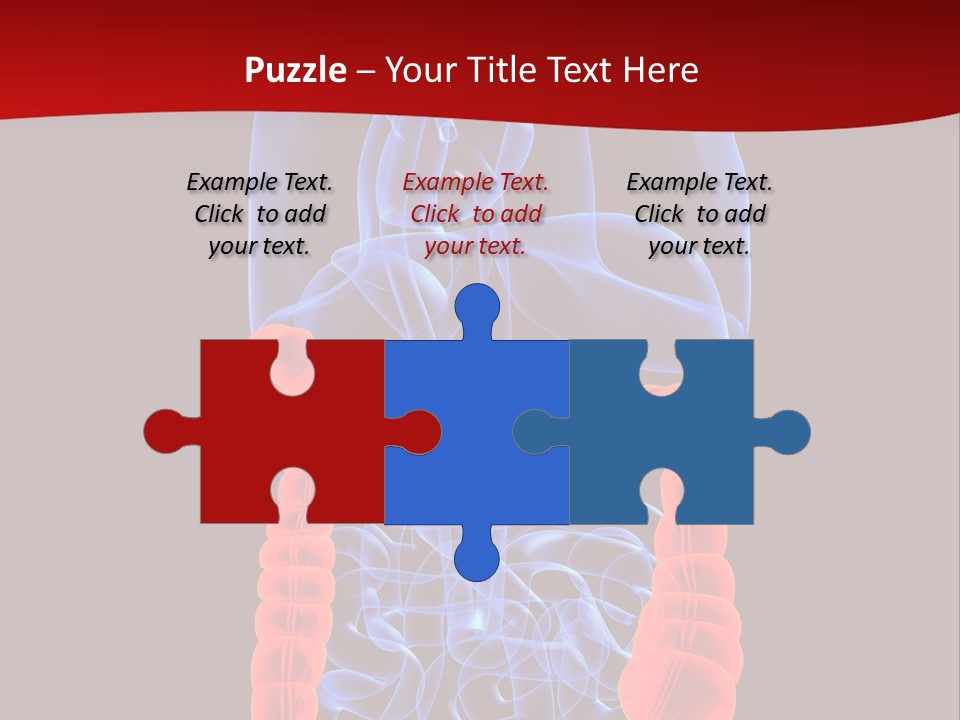 Highlighted Colon PowerPoint Template