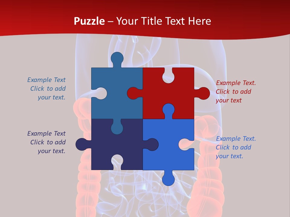 Highlighted Colon PowerPoint Template