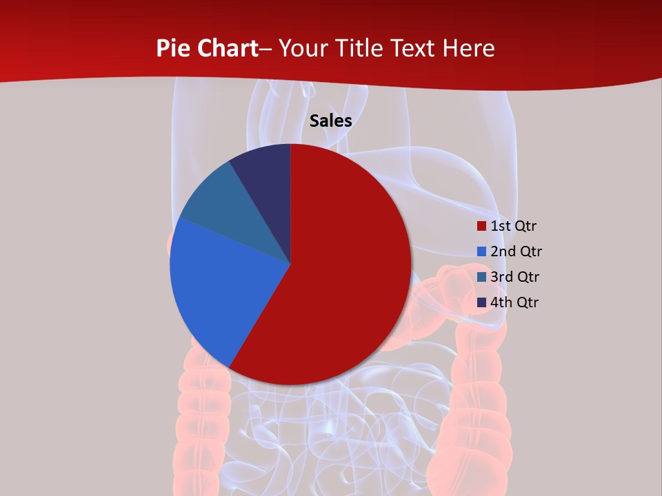 Highlighted Colon PowerPoint Template