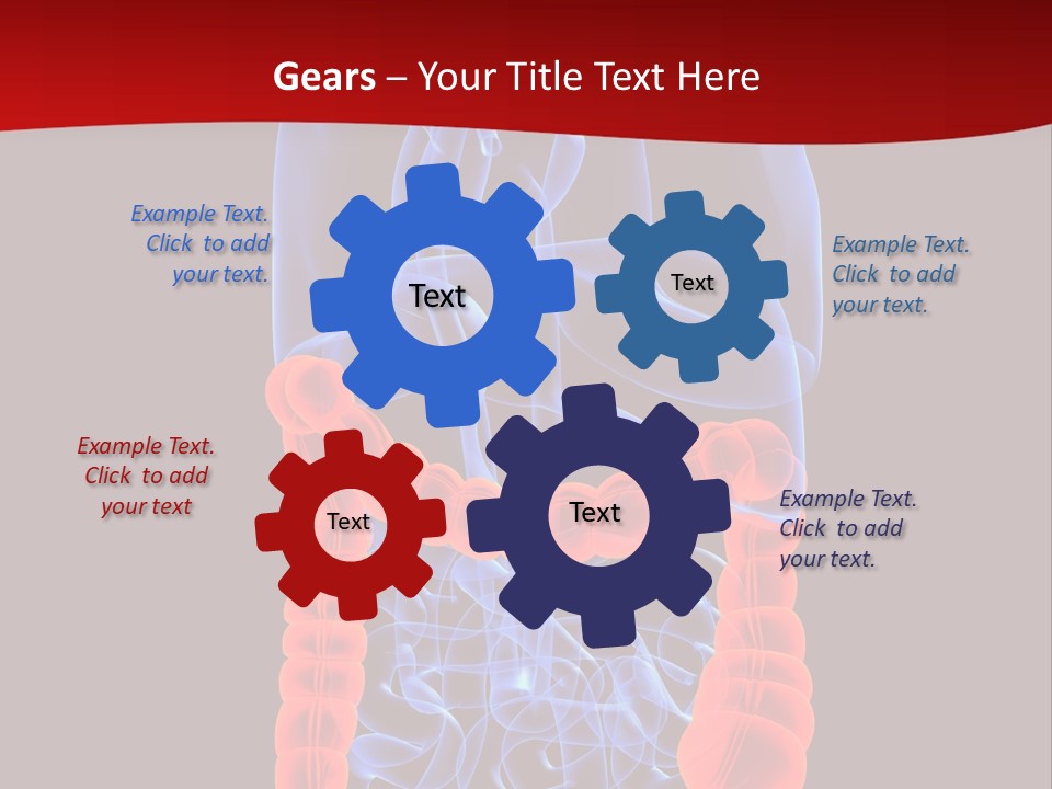 Highlighted Colon PowerPoint Template