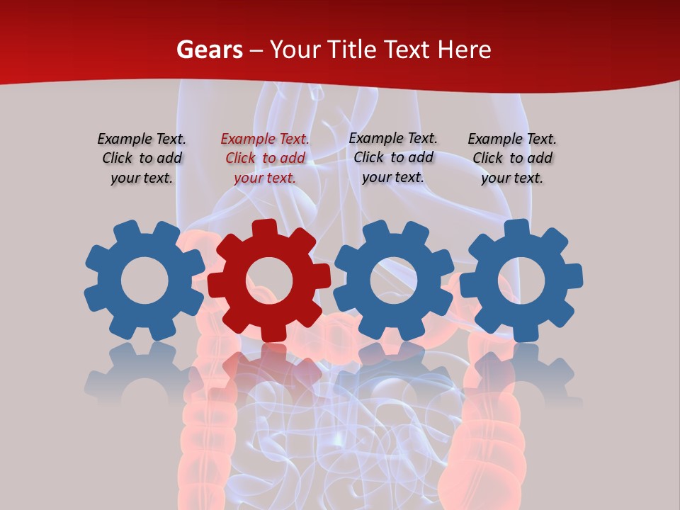 Highlighted Colon PowerPoint Template