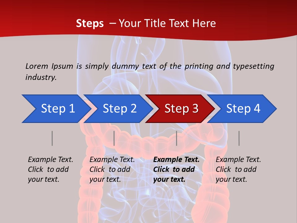 Highlighted Colon PowerPoint Template