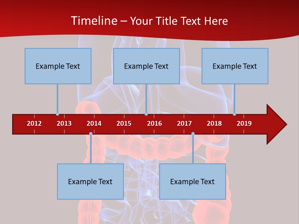 Highlighted Colon PowerPoint Template
