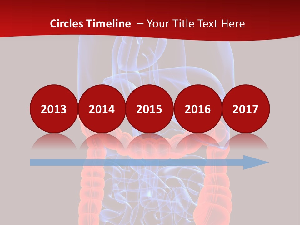 Highlighted Colon PowerPoint Template