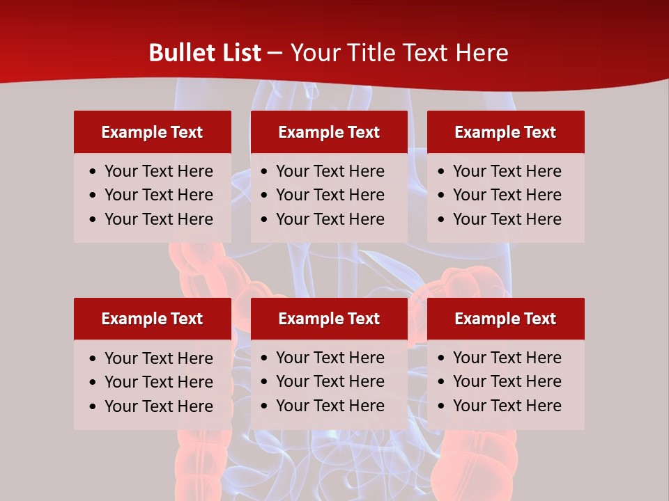 Highlighted Colon PowerPoint Template