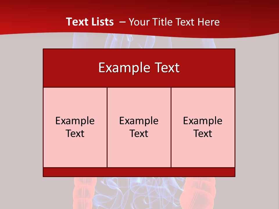 Highlighted Colon PowerPoint Template