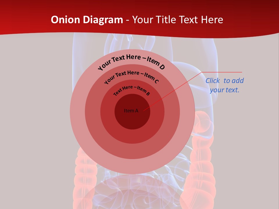Highlighted Colon PowerPoint Template