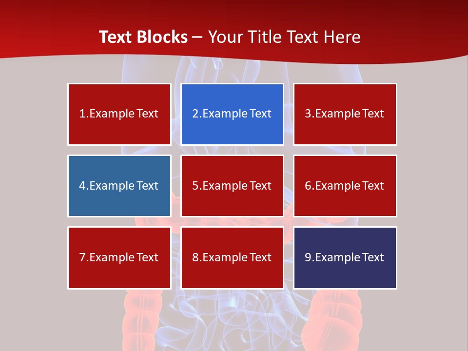 Highlighted Colon PowerPoint Template
