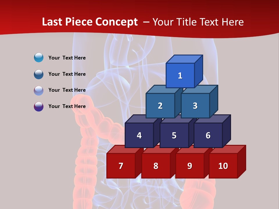 Highlighted Colon PowerPoint Template