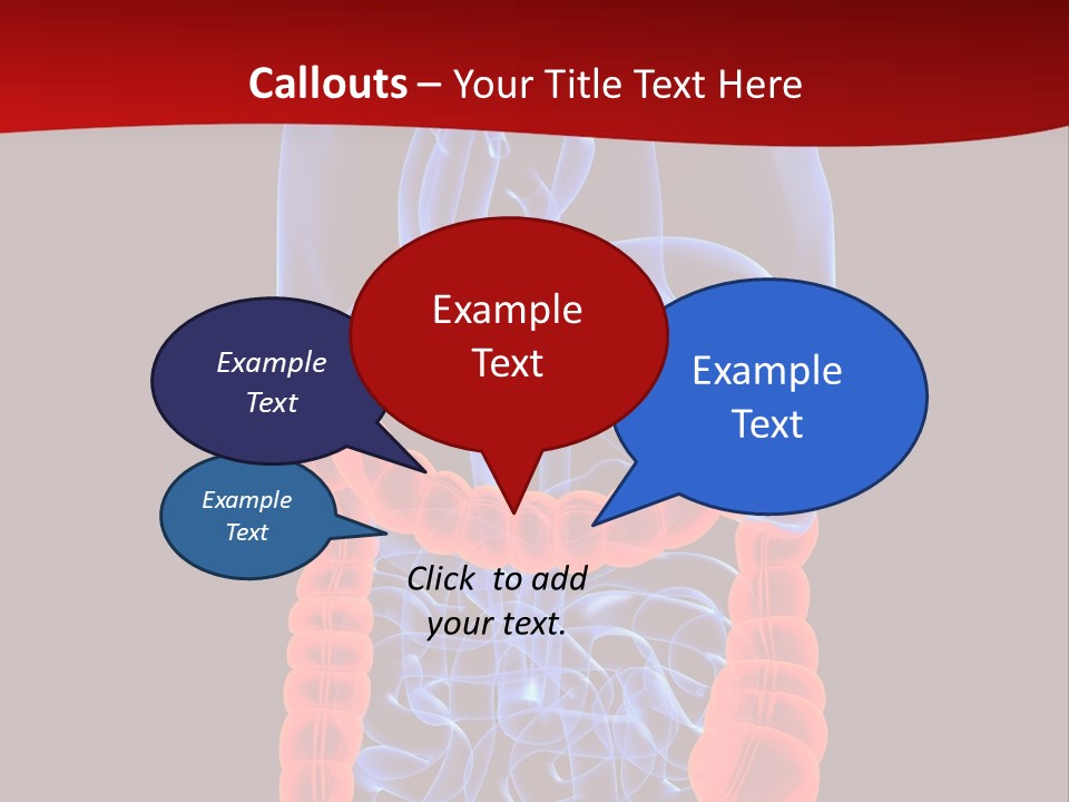 Highlighted Colon PowerPoint Template