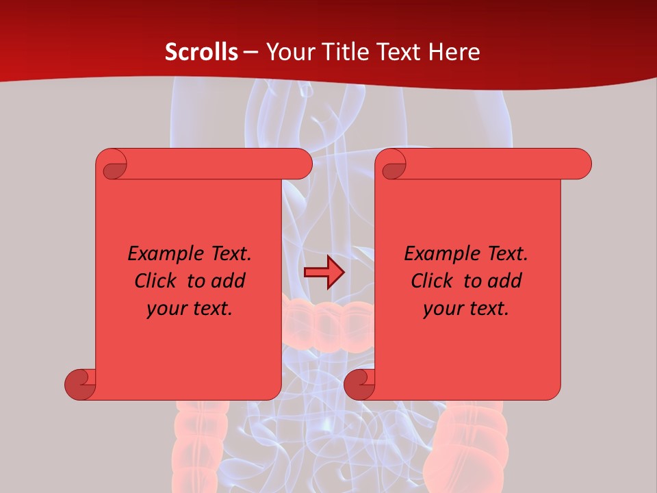 Highlighted Colon PowerPoint Template