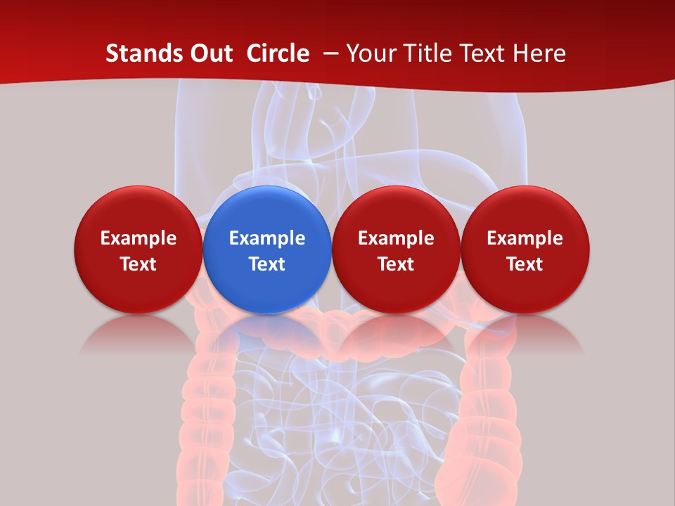 Highlighted Colon PowerPoint Template