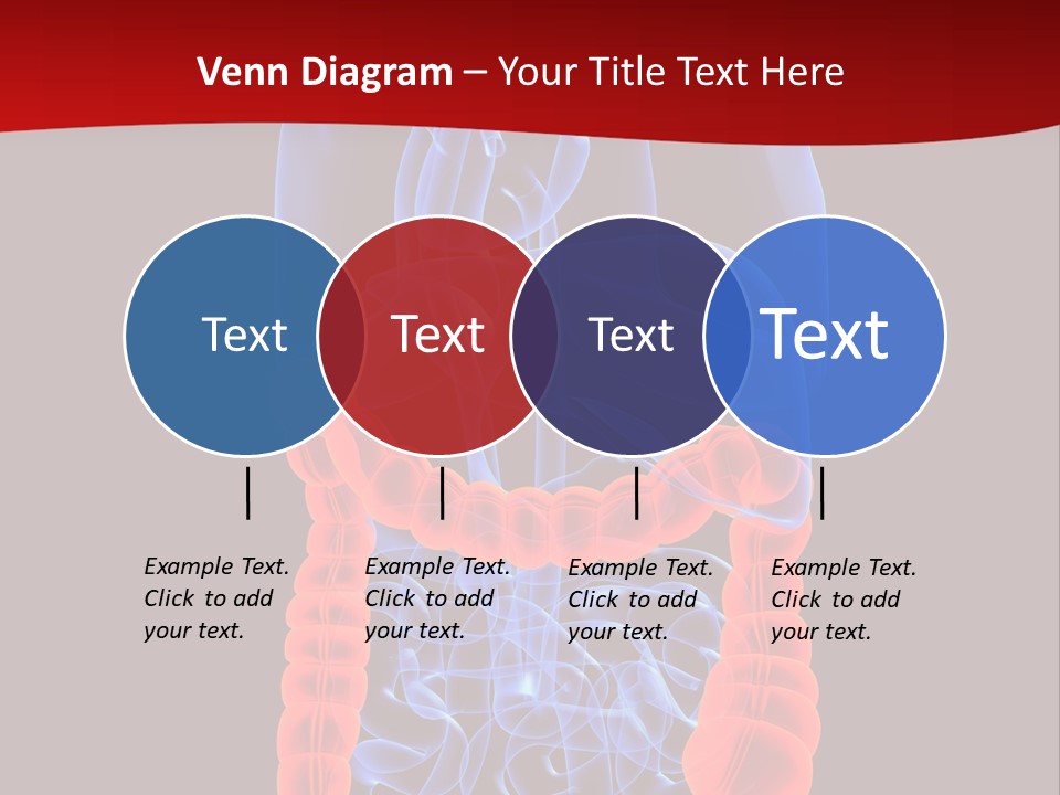Highlighted Colon PowerPoint Template