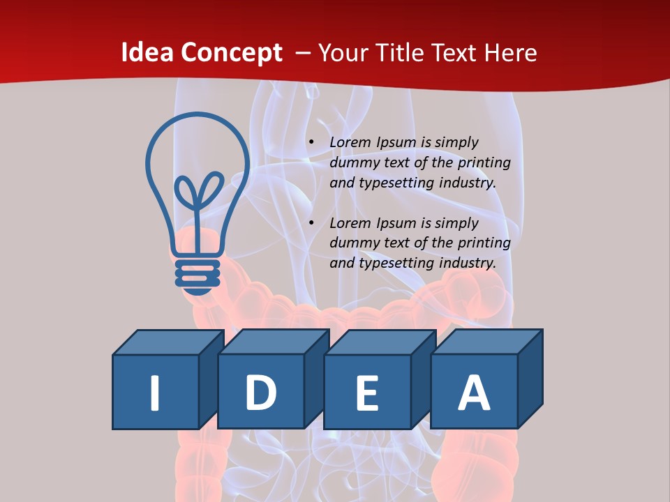 Highlighted Colon PowerPoint Template