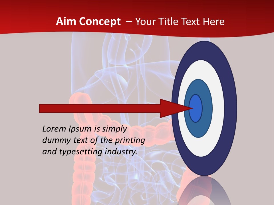 Highlighted Colon PowerPoint Template