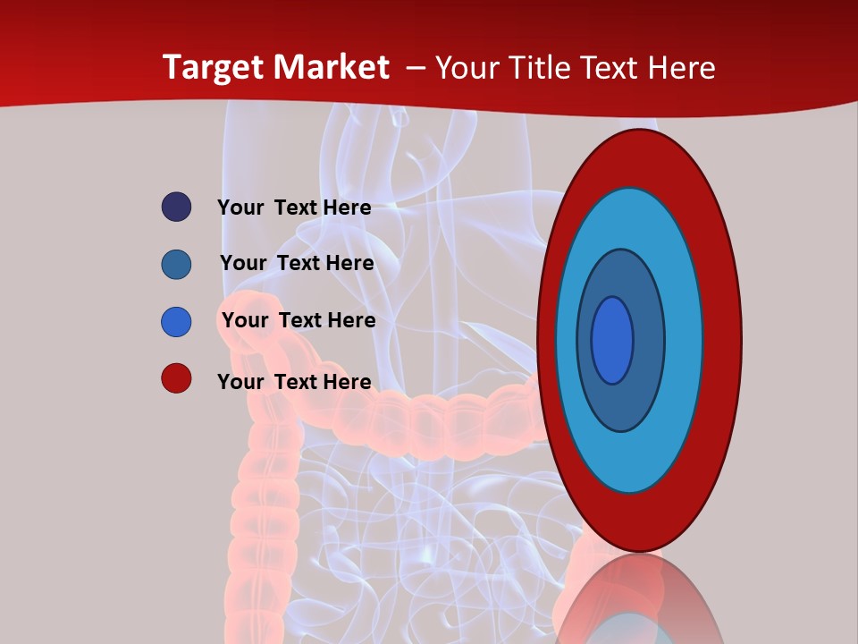Highlighted Colon PowerPoint Template