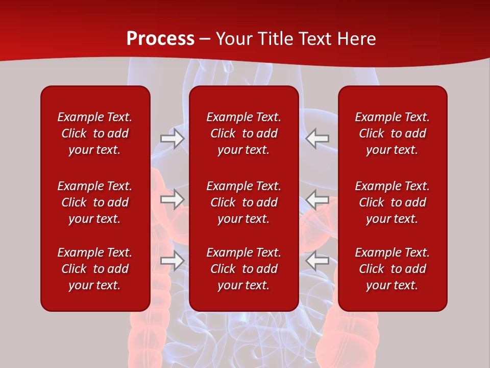 Highlighted Colon PowerPoint Template