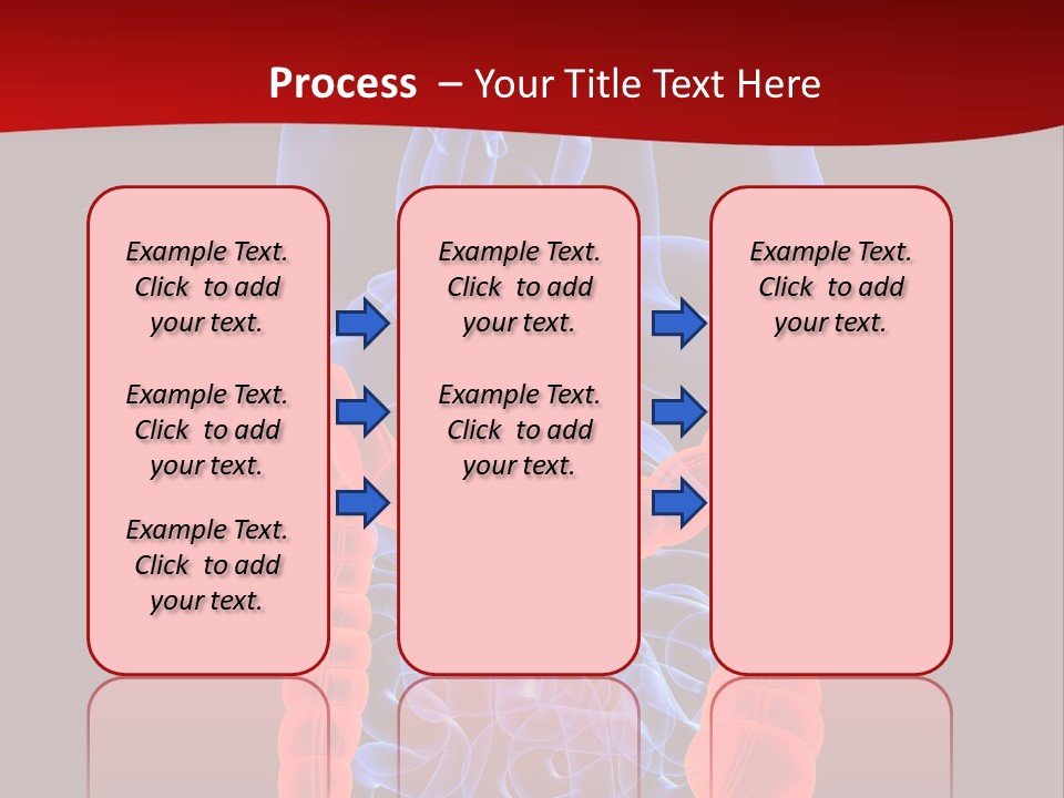Highlighted Colon PowerPoint Template
