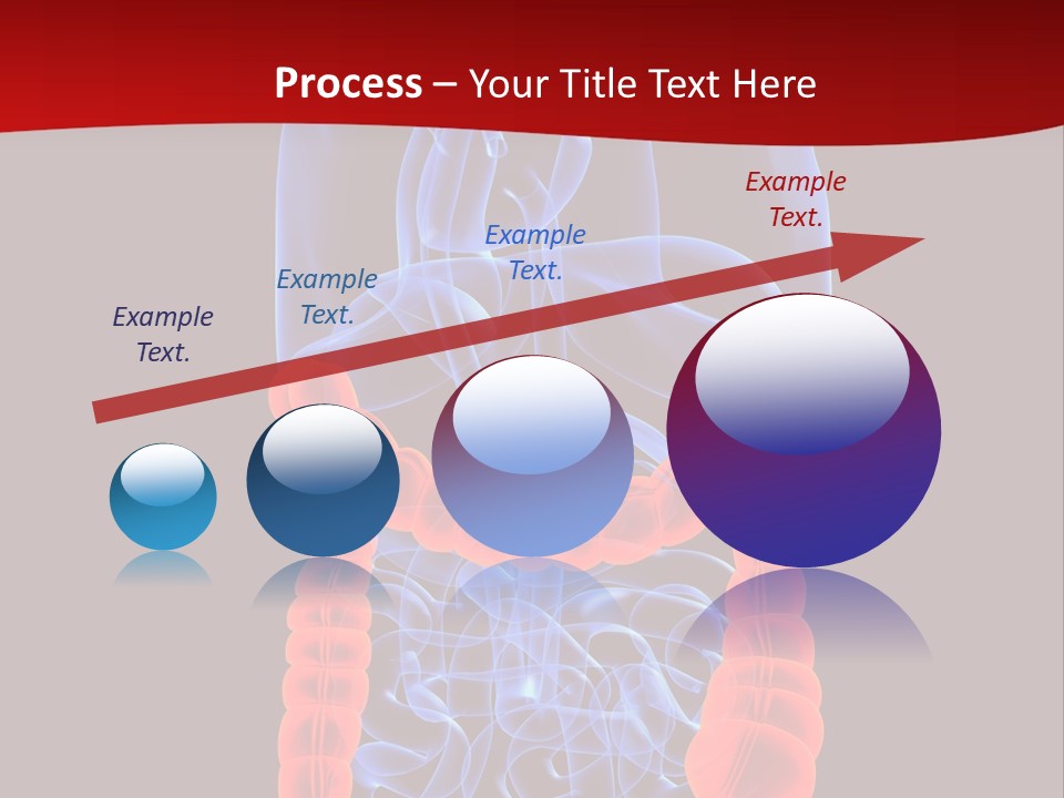 Highlighted Colon PowerPoint Template