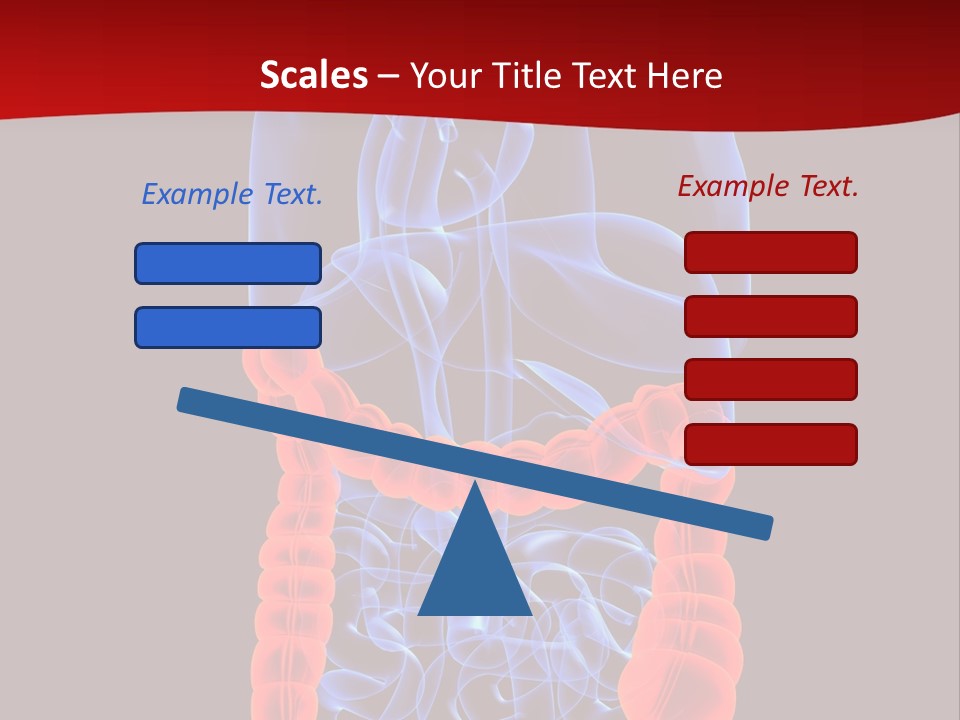 Highlighted Colon PowerPoint Template