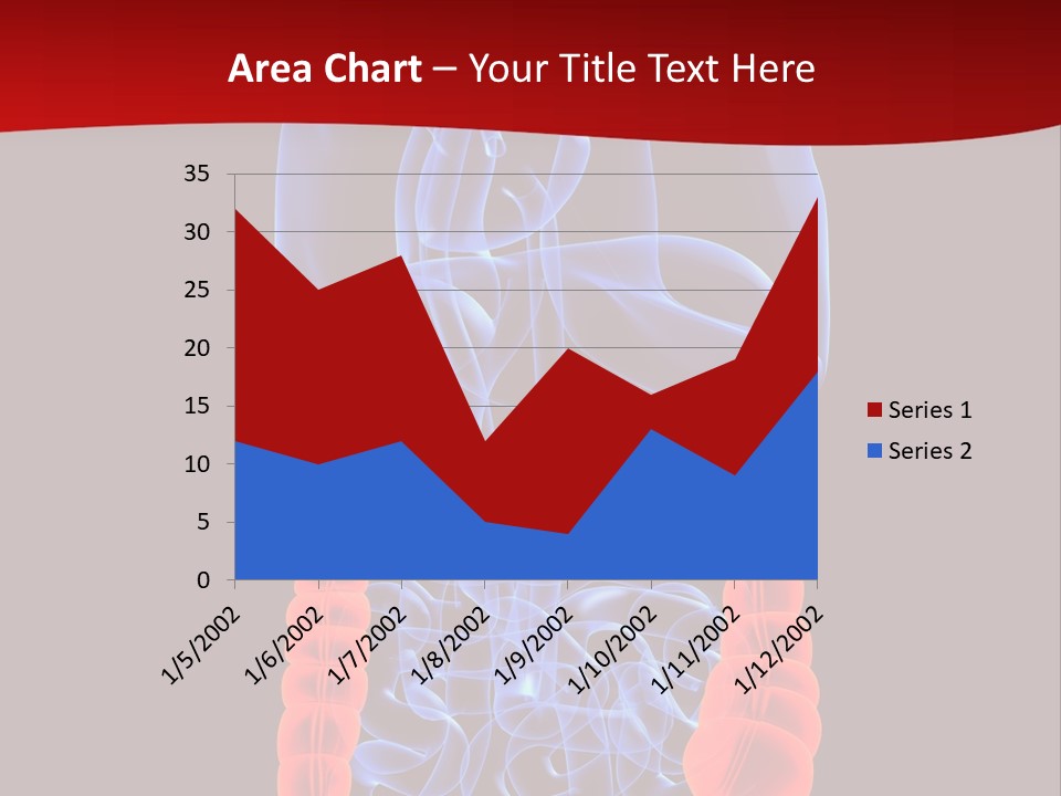 Highlighted Colon PowerPoint Template