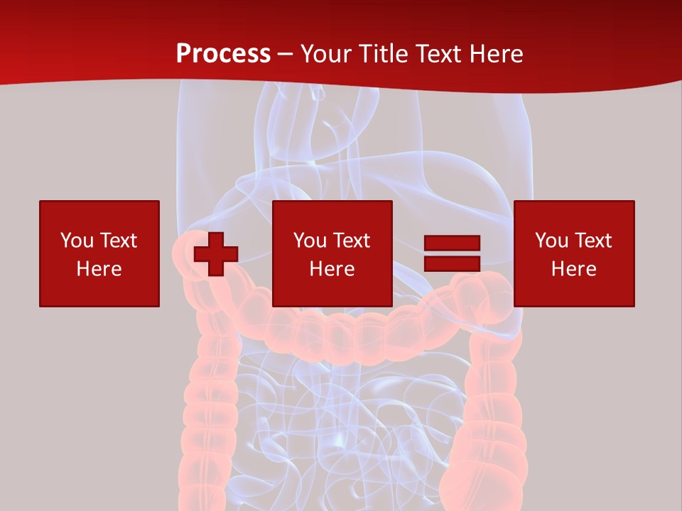 Highlighted Colon PowerPoint Template
