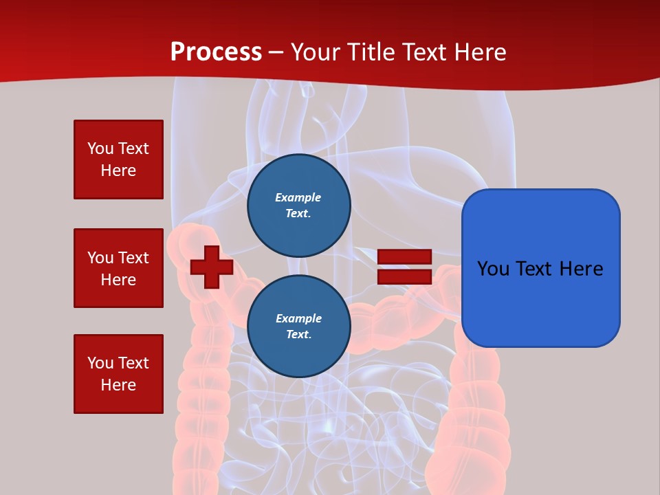 Highlighted Colon PowerPoint Template