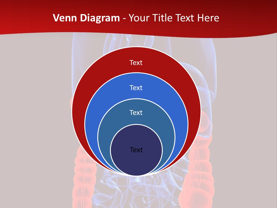 Highlighted Colon PowerPoint Template