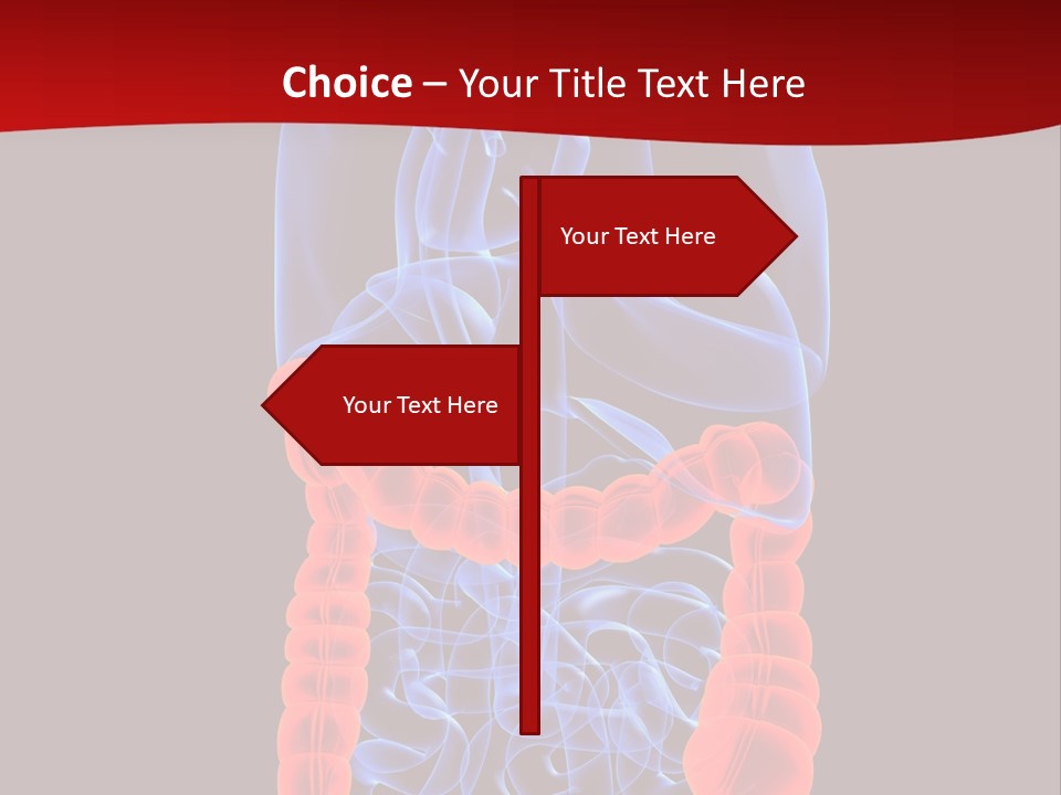 Highlighted Colon PowerPoint Template