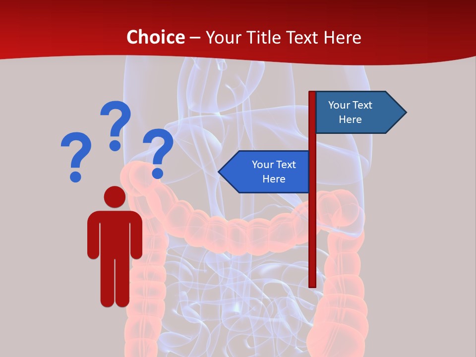 Highlighted Colon PowerPoint Template