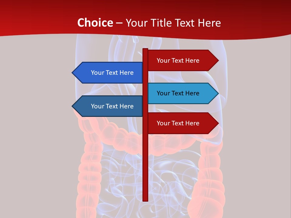 Highlighted Colon PowerPoint Template