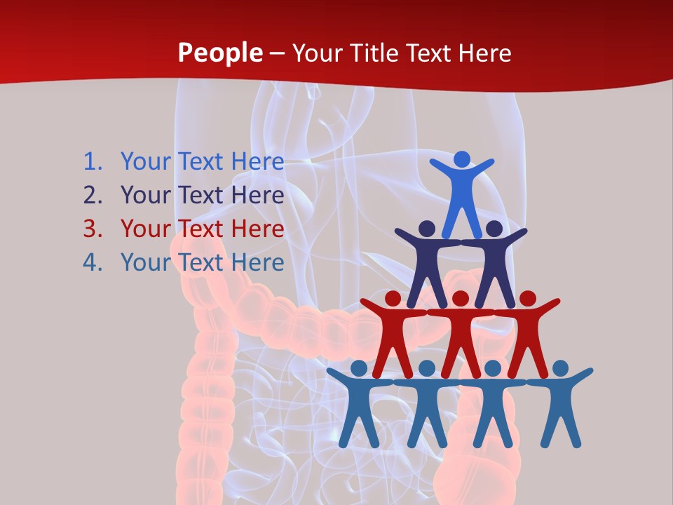 Highlighted Colon PowerPoint Template