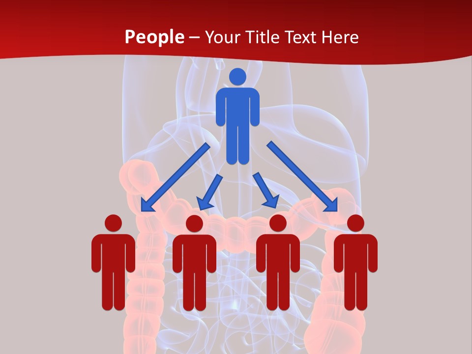 Highlighted Colon PowerPoint Template